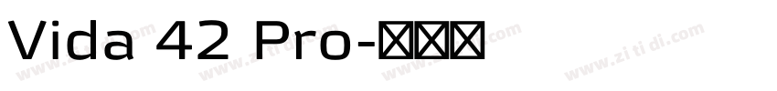 Vida 42 Pro字体转换